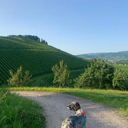 Ferienwohnung Winzerhof Männle Oberkirch  Exterior foto