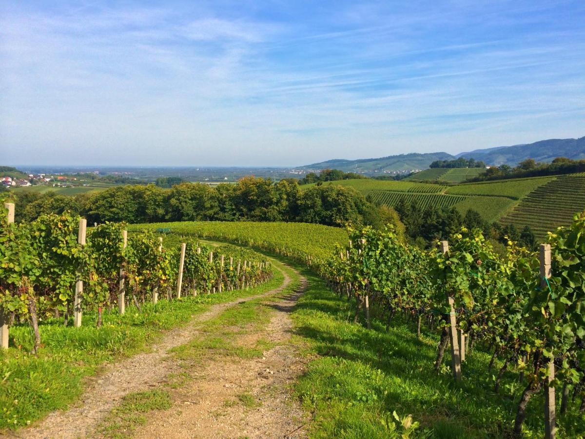 Winzerhof Maennle Апартаменты Оберкирх