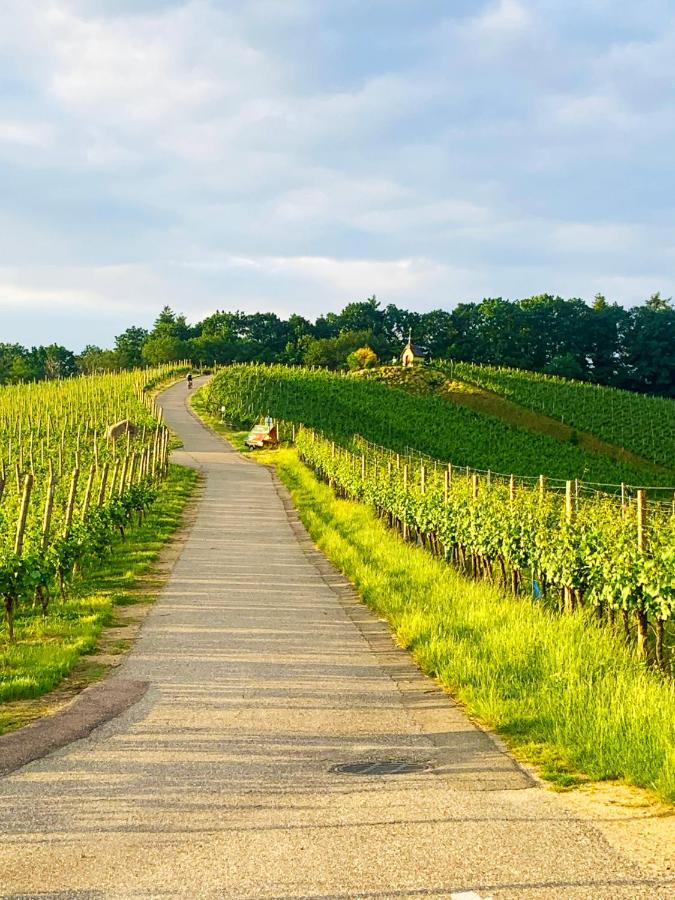 Апартаменты Winzerhof Maennle