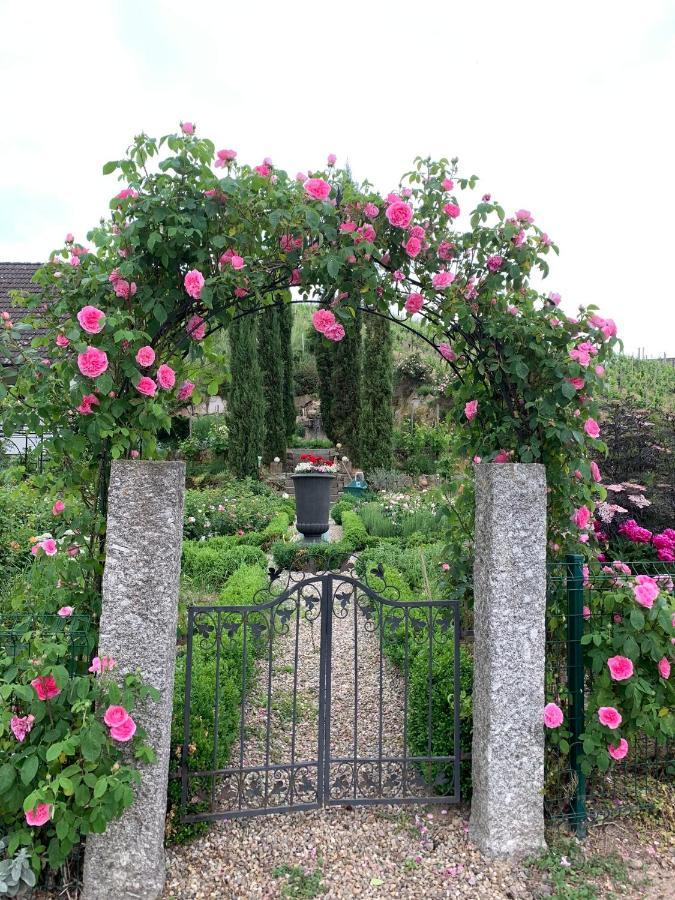 Winzerhof Maennle *