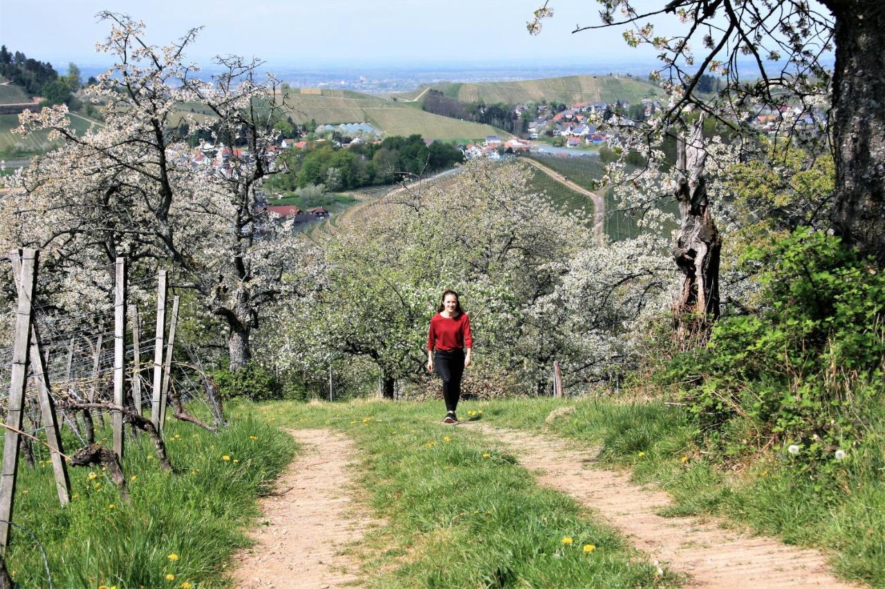 Winzerhof Männle * Oberkirch (Baden)