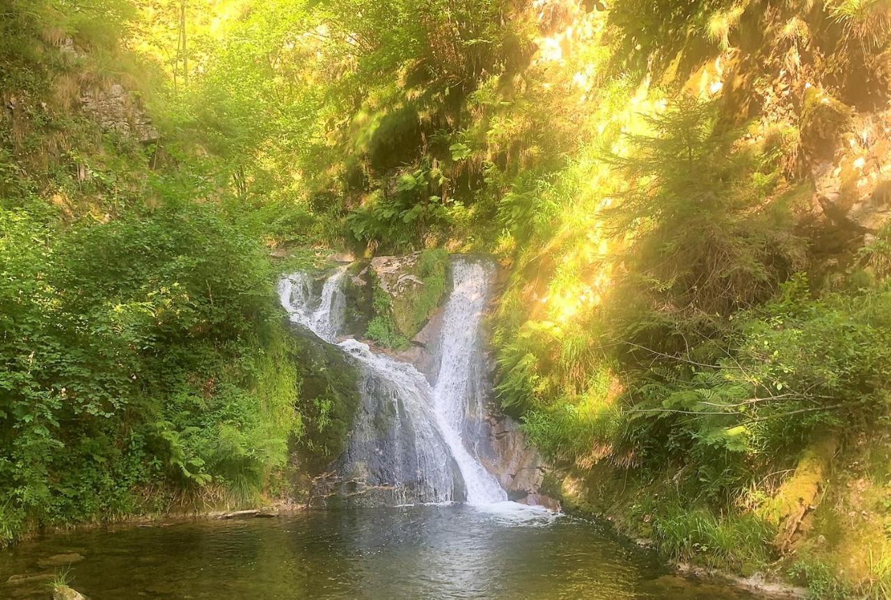 Winzerhof Männle Oberkirch (Baden)