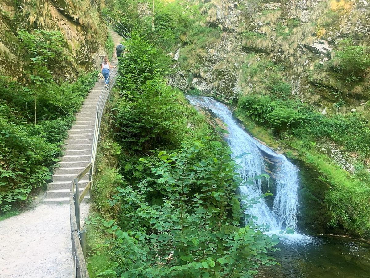 Winzerhof Männle Oberkirch (Baden)