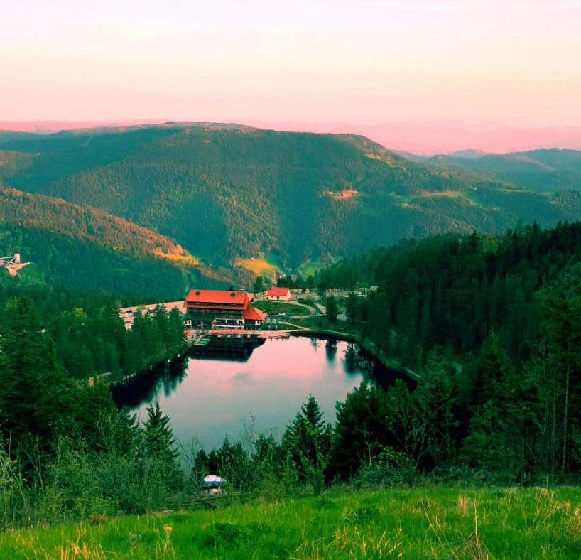 Winzerhof Maennle Апартаменты *